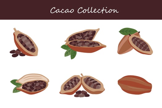 cacao collection. cacao in different poses vector