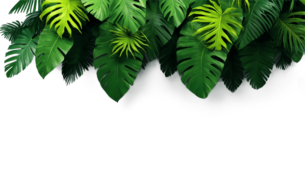 3D Jungle trees on isolated transparent background png