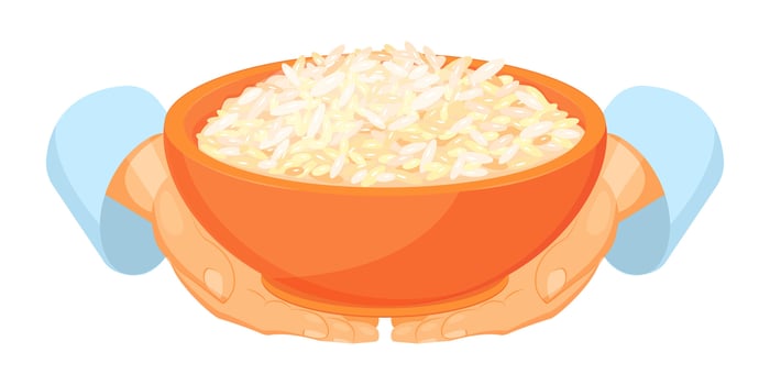 Rice in bowl. Hands holding rice dish. Cereal harvest. Whole grain. vector