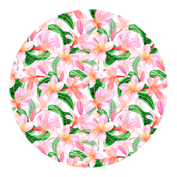 Tropical pink plumeria flowers with leaves. Watercolor, hand drawn illustration. Round frame, template. For design and decoration, packaging and cards, invitations png