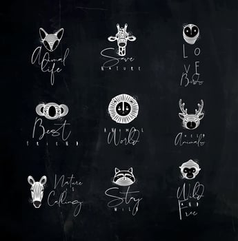 Set of animals authentic graphic signs fox, giraffe, owl, panda, lion, antelope, horse, cat, monkey with lettering drawing with chalk on chalkboard background vector