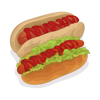 Illustration of hotdog vector