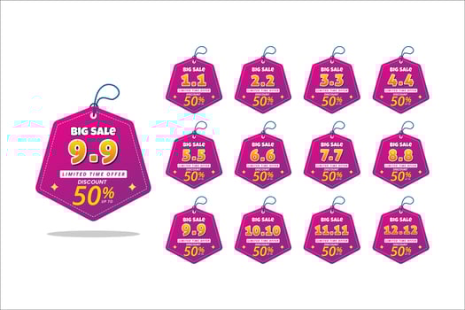 Big sale banner template, flash sale and promotion for web or social media, special offer banner vector