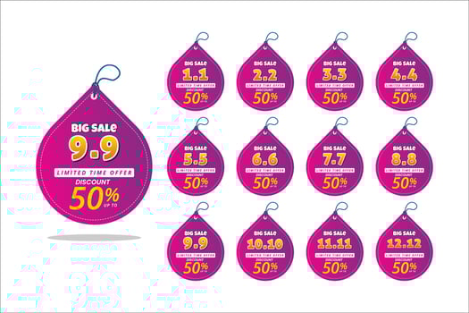 Big sale banner template, flash sale and promotion for web or social media, special offer banner vector