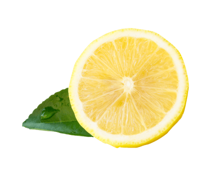 Front view of yellow lemon half with green leaf isolated with clipping path in file format png