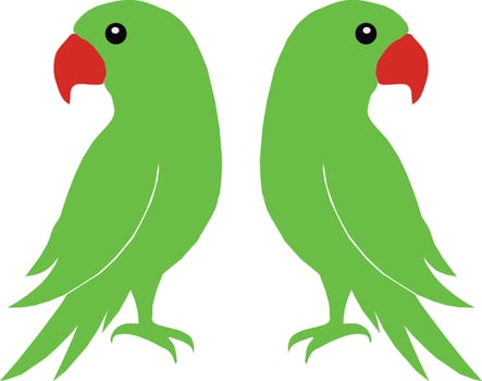 Double Parrot Art Illustration With White Background vector