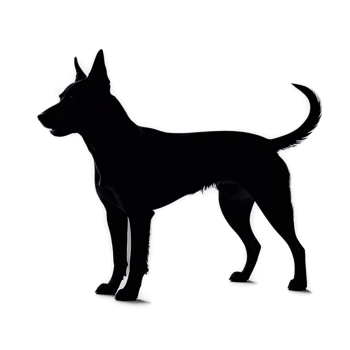 Silhouette of Drever Dog isolated on transparent background png