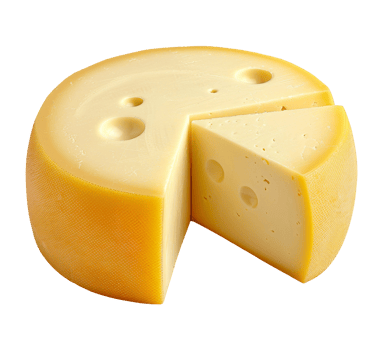 rounded cheese isolated png