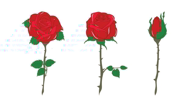 Beautiful Vintage Red Blooming Roses vector