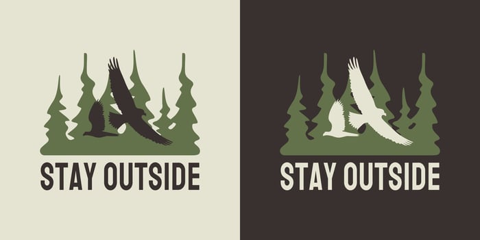 Vintage illustration of forest with eagle silhouettes for printable products. vector