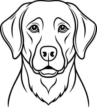 Labrador line art, Labrador line drawing, Labrador outline drawing,Labrador illustrations vector