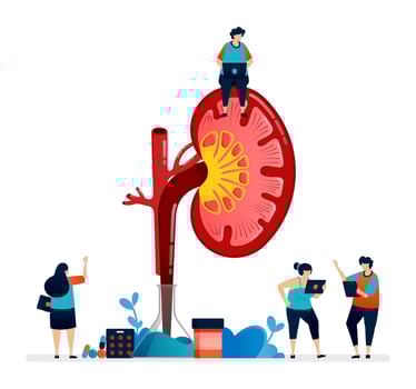illustration design for kidney disease and treatment. detail inside the kidney for research, education and medicine vector