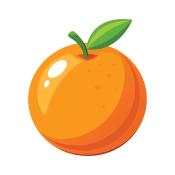 Orange Fruit On A White Background Illustration vector