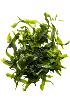 Nori Seaweed Sheets Isolated on transparent Background png