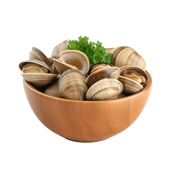 A bowl of clams isolated on transparent background png