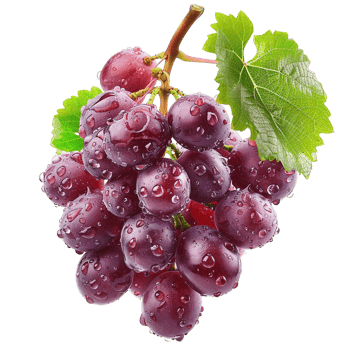 Grapes isolated on transparent background png