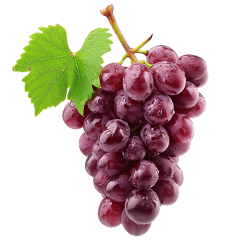 Grapes isolated on transparent background png
