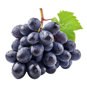 Grapes isolated on transparent background png