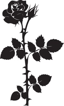 Rose silhouette with leaves black and white vector