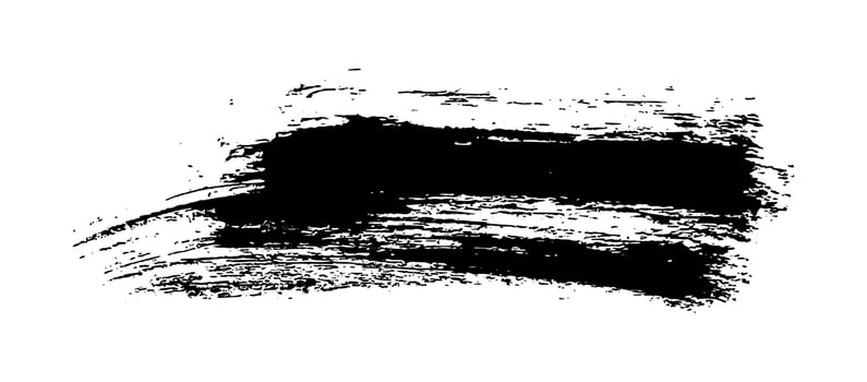 Black brush stroke on white background vector