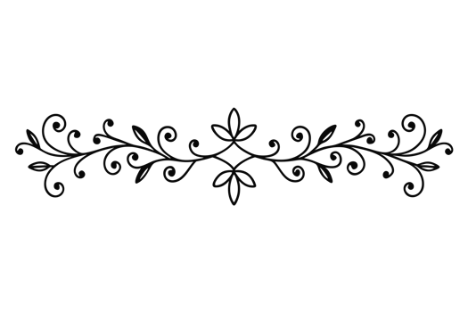 graphic with a black white elegant plant flow er ornament png