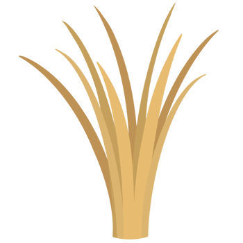Grass, cartoon, farm png