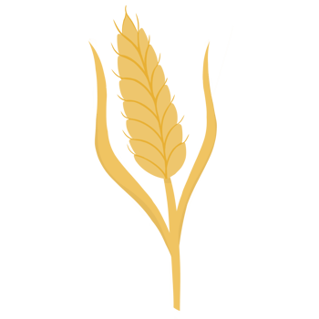 Wheat, hand drawn, cartoon png