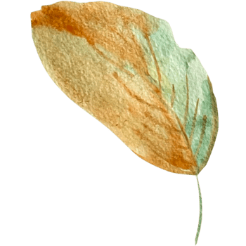 Watercolor abstract flowers. png