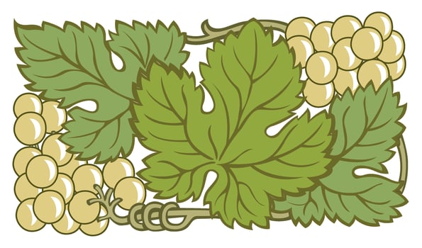 Grape vine or grape branch decorative elements, set. Isolated hanging grape twigs with green and purple berries. Framing or decor for banner design vector