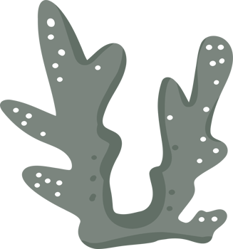 Cartoon underwater coral png