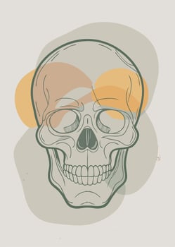ONe line skull sketch drawing abstract minimal continuous line wall decor vector