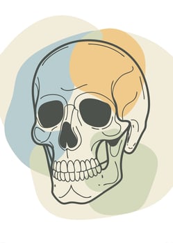 Skull sketch drawing abstract minimal continuous line wall decor vector
