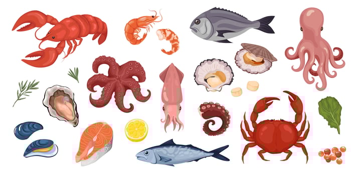 Cartoon set ocean seafood. Shrimp or crab, different fish. Culinary delicacies ingredients. Seafood vector
