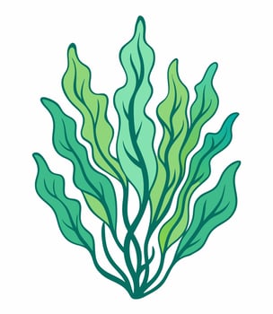 Hand drawn seaweed isolated on white. Cartoon style illustration. vector