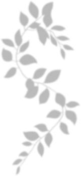 Realistic gray shadow of leaf overlay strands isolated on a transparent background. natural leaves shadow and summer design elements, top view, flat lay png