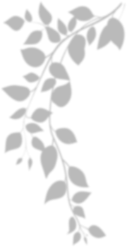 Realistic gray shadow of leaf overlay strands isolated on a transparent background. natural leaves shadow and summer design elements, top view, flat lay png
