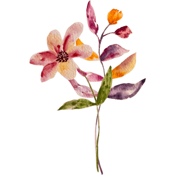 Watercolor abstract bouquets and arrangement. png