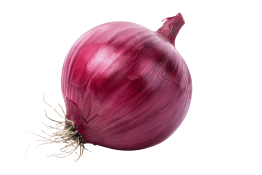 Red onion Isolated png