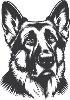 German shepherd dog in different poses on a white background objects silhouette illustration. vector