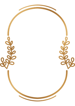 Luxury shape and frame png