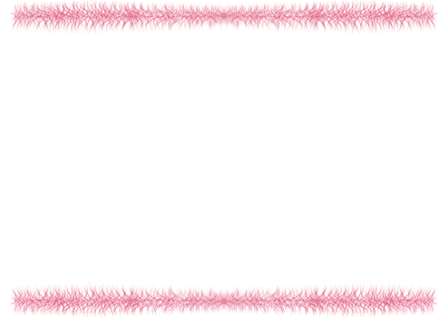 Pink red fur flower plant greeting pattern border frame isolated with copy space for text,pic,info png