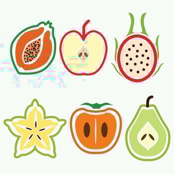 Set of fruit slices citrus and exotic tropical vector