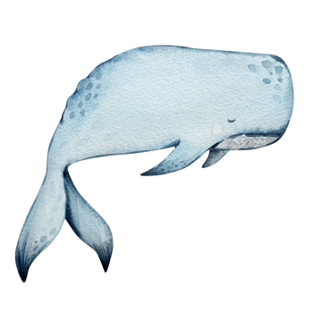 Whale watercolor painting, nursery ocean png