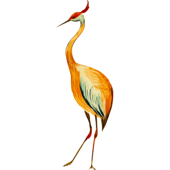 Watercolor painted tropical bright birds. png