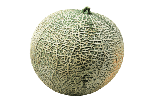 Fresh Cantaloupe Melon Isolated png