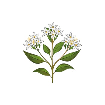 Creative Flower designs. vector