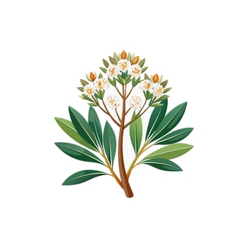 Creative Flower designs. vector