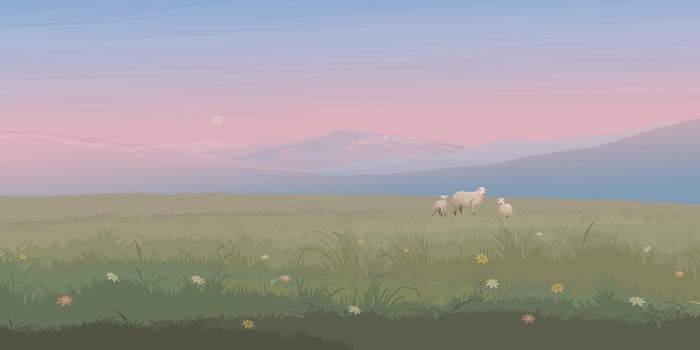 Minimalist sunset landscape grass hill with sheepes family have mountain ranges behind graphic illustrated have blank space. vector