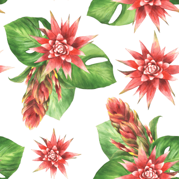 Tropical plant arrangement seamless pattern. Red bromeliad flower, buds, anthurium leaf, exotic leaves. Jungle greenery floral clipart. Watercolor painted illustration. Fabric on isolated background png
