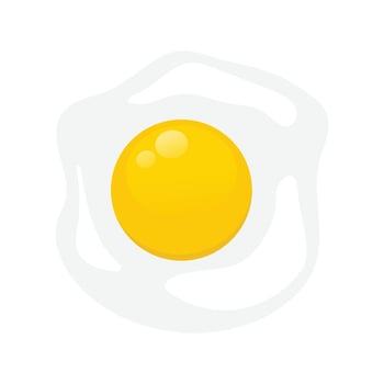 Fried egg omelette isolated illustration on white background vector